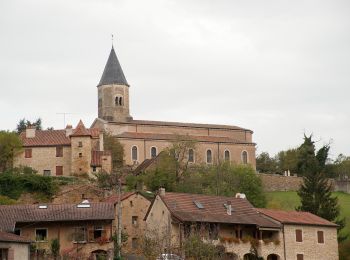 Tocht Te voet Cluny - randonnée autour de Cluny - Photo