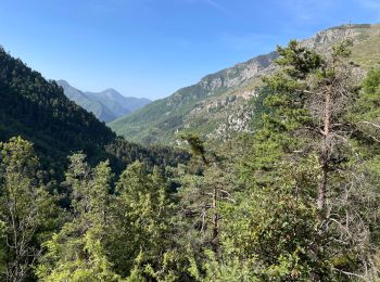 Tocht Stappen Lantosque - Granges de la Brasque  - Photo