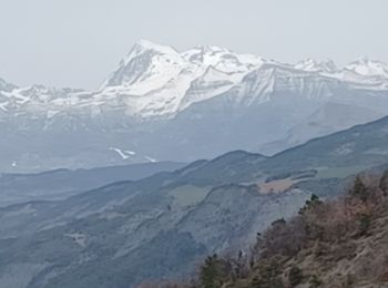 Randonnée Marche Tallard - TALLARD tête de Boursier o m s  - Photo