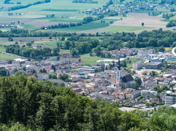 Randonnée A pied Schlierbach - Burg Altpernstein - Photo