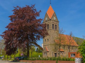 Tocht Te voet Lengerich - Dyckerhoff-Rundwanderweg - Photo