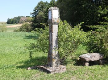 Excursión A pie Seßlach - Wanderweg Unterelldorf - Photo