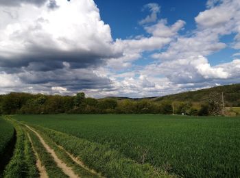 Tour Wandern Marchin - Marchin 'Autour du Lileau' - Photo