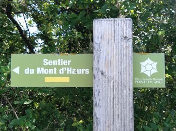 Percorso Marcia Givet - LP08_Givet_M'ont d Haurs - Photo