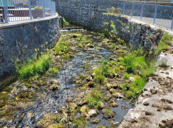 Tour Radtourismus  Les Rousses - LES ROUSSES - PARCOURS EST VERS LA SUISSE  - Photo