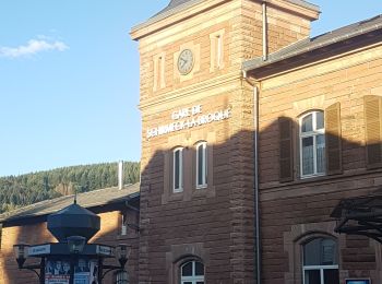 Tocht Stappen Schirmeck - Le Donon et Col de Prayé - Photo