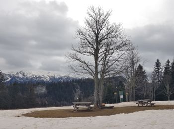 Excursión Senderismo Corrençon-en-Vercors - Château Julien - Boucle depuis Corrençon - Photo