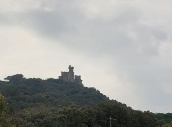 Tour Wandern Vénéjan - Venejan - Photo