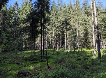 Excursión A pie Čeladná - Stezka paravýsadku Wolfram - Photo