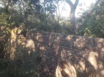 Randonnée Marche Roquebrune-sur-Argens - Le sentier de l'eau - Photo