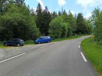 Randonnée Marche Saint-Martin-en-Vercors - Pas st Martin - Photo