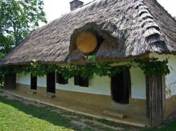 Tour Zu Fuß Szalafő - P ♥ Szerről szerre Szalafőn (Szalafő [Templomszer - Alsószer - Csörgőszer - Pityerszer - Felsőszer - Papszer - Templomszer]) - Photo