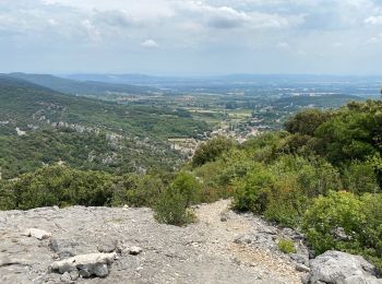 Percorso Marcia Saint-Montan - Saint-Montan Gorges de Sainte-Beaume - Photo