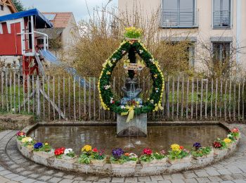 Tocht Te voet Priesendorf - Rundweg Priesendorf P 5 - Photo