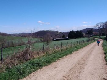 Tour Wandern Saint-Marcet - 2021-03-13 Saint Marcet boucle avec tour du chateau - Photo