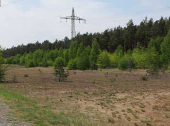 Randonnée A pied Velten - Velten-Borgsdorf - Photo