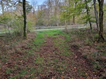 Randonnée Marche Vouthon-Haut - jusqu'au camp américain  - Photo