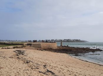 Trail Walking Locmariaquer - PR_56_Locmariaquer_AA_01_Circuit1b_Entre-Golfe-Et-Ocean_20220217 - Photo
