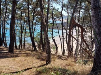 Trail Walking Erquy - LES PLAGES SAUVAGES A ERQUY - Photo