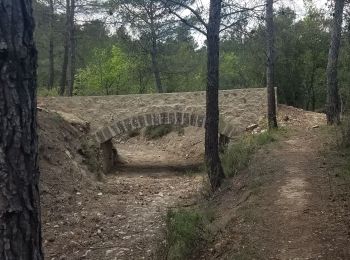 Tocht Stappen Peyrolles-en-Provence - loubatas-Camp Chinois-retour par les vallons - Photo