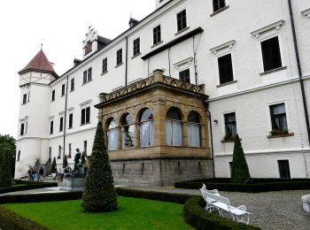 Percorso A piedi Benešov - [Č] Konopiště, okružní trasa - Photo