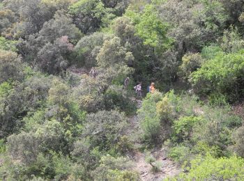 Tour Wandern Murs - PF-Murs - Véroncle, un ravin et des moulins - Photo