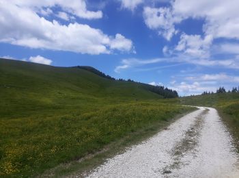 Excursión A pie Bosco Chiesanuova - Pissarotta ponte SP 15 - San Giorgio - Photo