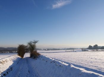 Trail On foot Fröndenberg/Ruhr - Dellwig Rundweg A4 - Photo