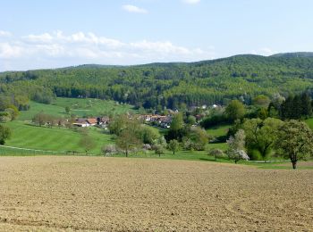 Randonnée A pied Modautal - Rundwanderweg Modautal 2 - Photo