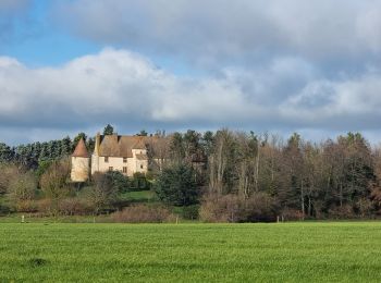 Tocht Mountainbike Montmarault - Montmarault  - Photo