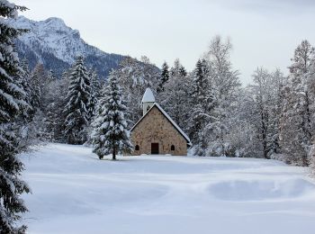 Percorso A piedi Borgo Valsugana - IT-E210 - Photo