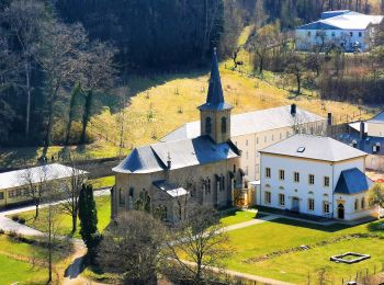 Tocht Te voet Helperknapp - FB Hollenfels - Photo