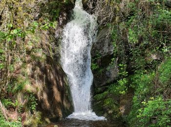 Trail Walking Val-de-Sos - La soulane de vicdessos - Photo