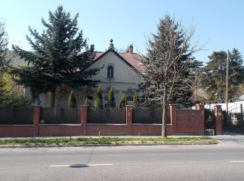 Tour Zu Fuß Unbekannt - Hárs-hegyi tanösvény (Szent Ferenc Kórház - Szépjuhászné - Szent Ferenc Kórház) - Photo