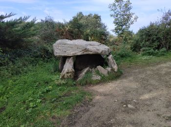 Excursión Senderismo Île-aux-Moines - 2023-09-23 île aux moines pointe du nioul - Photo