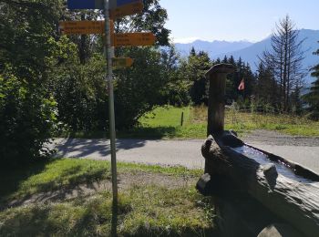 Tour Wandern Ayent - 2 bisses  - Photo