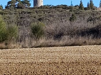 Randonnée Marche Montfuron - Montfuron, les Granges - Photo