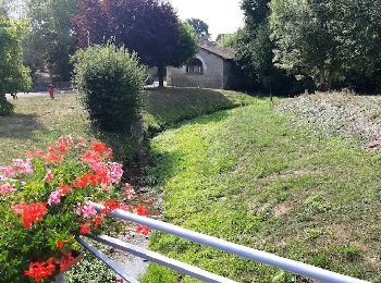 Excursión Senderismo Amance - au départ d'AMANCE LA VILLE AUX BOIS - Photo