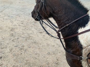 Percorso Equitazione Tallone - Boucle de 30km - Photo