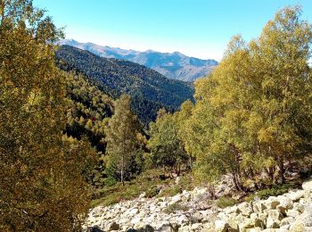 Excursión Senderismo Casteil - refuge mariailles /canigou - Photo