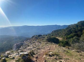 Randonnée Marche Méounes-lès-Montrieux - Melun es . Les barres de cuers  - Photo