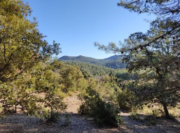 Tocht Stappen Vitrolles-en-Luberon - Vitrolles - Photo