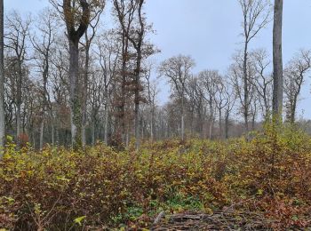 Percorso Marcia Flavigny-sur-Moselle - Flavgny - la boucle verte - Photo