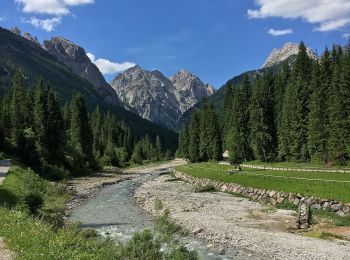 Trail On foot Sappada - IT-313 - Photo