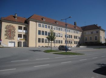 Tocht Te voet Stegersbach - Rauchwart - Stausee (Stegersbach) - Photo