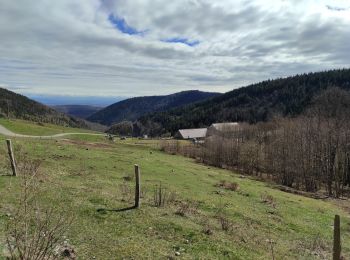 Percorso Marcia Rimbach-près-Guebwiller - Rimbach  - Photo