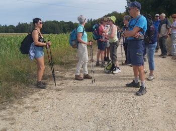 Trail Walking Altkirch - rando Lerchenberg Altkirch - Photo