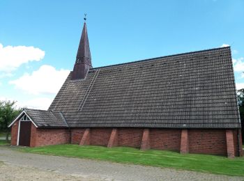 Percorso A piedi Groß Wittensee - Wanderroute 10: Groß Wittensee - Kirchhorst - Photo