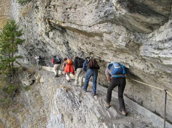 Randonnée A pied Icogne - Pra du taillour-Pas de l'ours - Photo