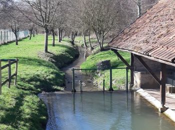 Excursión A pie Esternay - ESTERNAY : à l'est d'Esternay - Photo